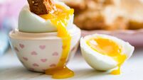 What's Trump got to do with the price of eggs?