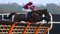 Brighterdaysahead not out of the picture for Aintree run