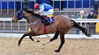Currawood looking all set to open his account at Dundalk