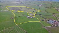 €15-€18k/acre expected for 57-acre pasture holding near Clonakilty
