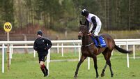 Patrick Mullins to enjoy road trip to Hexham
