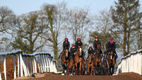Search for worthy successor to Galileo continues at Ballydoyle