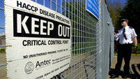 HEALTH BirdFlu 12