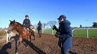 Australian import Storm Boy impressing O'Brien