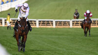Scott relishing Punchestown trip with Golden Ace