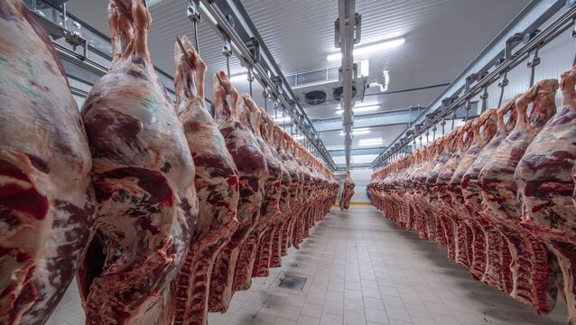 <p>Information on the ground is that the percentage of finishers who have ditched selling to the plant 'on the grid' is increasing sharply and processors are willing to deal on 'flat price' purchases before leaving stock behind them.</p>