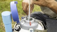 tools for artificial insemination of cow.
