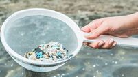 Young woman cleaning microplastics from sand on the beach - Environmental problem, pollution and ecolosystem warning concept - F