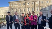 Dail speaking row