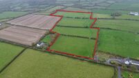 22-acre Kilkenny farm fetches €18k/acre at auction
