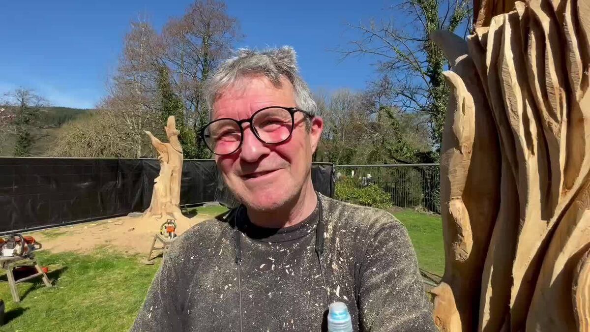 Will Fogarty, the Fear na Coillte, has been commissioned by Cork City Council to transform two dead elm trees at the entrance to the Regional Park in Ballincollig into wonderful wooden works of art. Picture: Eoin English Will Fogarty, the Fear na Coillte, has been commissioned by Cork City Council to transform two dead elm trees at the entrance to the Regional Park in Ballincollig into wonderful wooden works of art. Picture: Eoin English