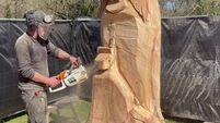 Chainsaw artist transforms dead trees into wildlife sculptures at Cork’s Regional Park