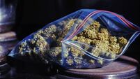 Cannabis ready to roll