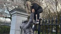 Limerick council denies city park gates close early after visitors complain of being locked in