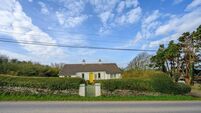 €295k West Cork cottage had Chelsea Flower Show beds in previous greenfingered owner's days