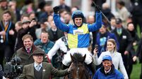 Cheltenham Festival 2024: Day Two