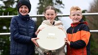 Pour One More delivers for Motherways at Clonmel 
