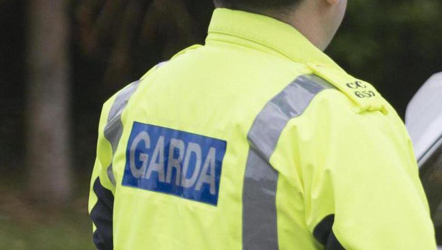Gardaí appeal for witnesses after man dies in Westmeath collision