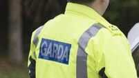 Gardaí appeal for witnesses after man dies in Westmeath collision