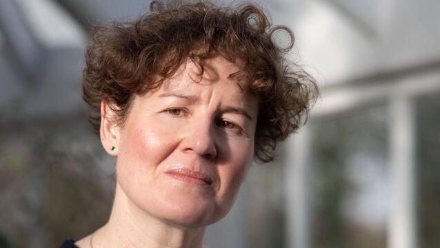 <p>Elaine Garvey: “I’m a participant on the basic income scheme for artists.”</p>