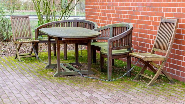 <p>Algae can build up on patios, concrete and other surfaces in shady areas that don’t get a lot of sunlight</p>
