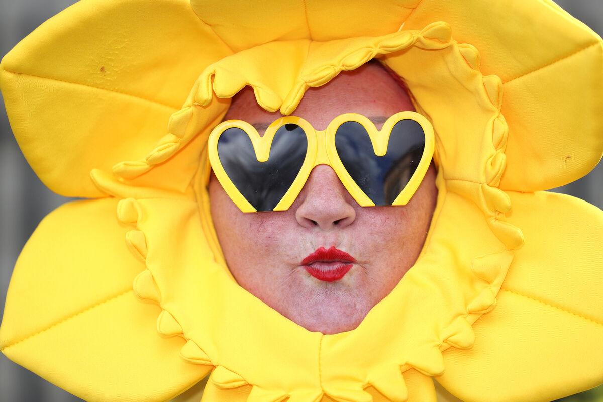 Patsy Byrne from Walkinstown in Dublin raising funds for the annual Daffodil Day which will help the Irish Cancer Society raise some of the €30m it needs to raise annually to provide supports and fund life-changing cancer research. Photo: Leah Farrell / © RollingNews.ie Patsy Byrne from Walkinstown in Dublin raising funds for the annual Daffodil Day which will help the Irish Cancer Society raise some of the €30m it needs to raise annually to provide supports and fund life-changing cancer research. Photo: Leah Farrell / © RollingNews.ie