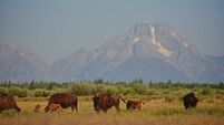 Departure Lounge: Five holidays to book, including a wild west adventure