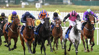 Big Gossey continues Curragh love affair with gutsy Gladness win  