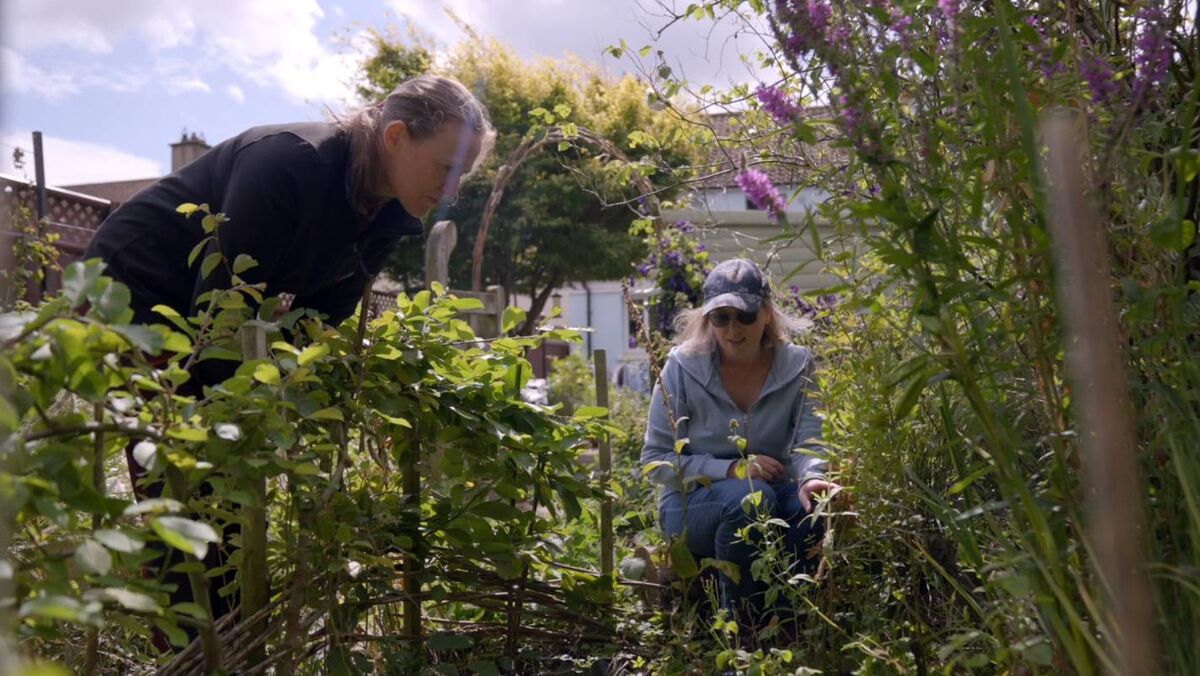 'There is always something you can do to help bats. Water is helpful like a pond, choosing native plants too, the hawthorn is a great support to our native nocturnal pollinators. If you mow your lawn a little bit less, it will allow for more insects who can hatch there.' Picture: Speed Motion Film 'There is always something you can do to help bats. Water is helpful like a pond, choosing native plants too, the hawthorn is a great support to our native nocturnal pollinators. If you mow your lawn a little bit less, it will allow for more insects who can hatch there.' Picture: Speed Motion Film