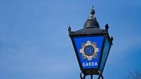 Over ten arrested after Gaza protesters block gates to Leinster House 