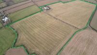 24-acre tillage land in East Cork expecting €18,000/acre