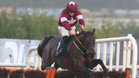 Christmas Festival - Leopardstown Racecourse - Sunday December 29th