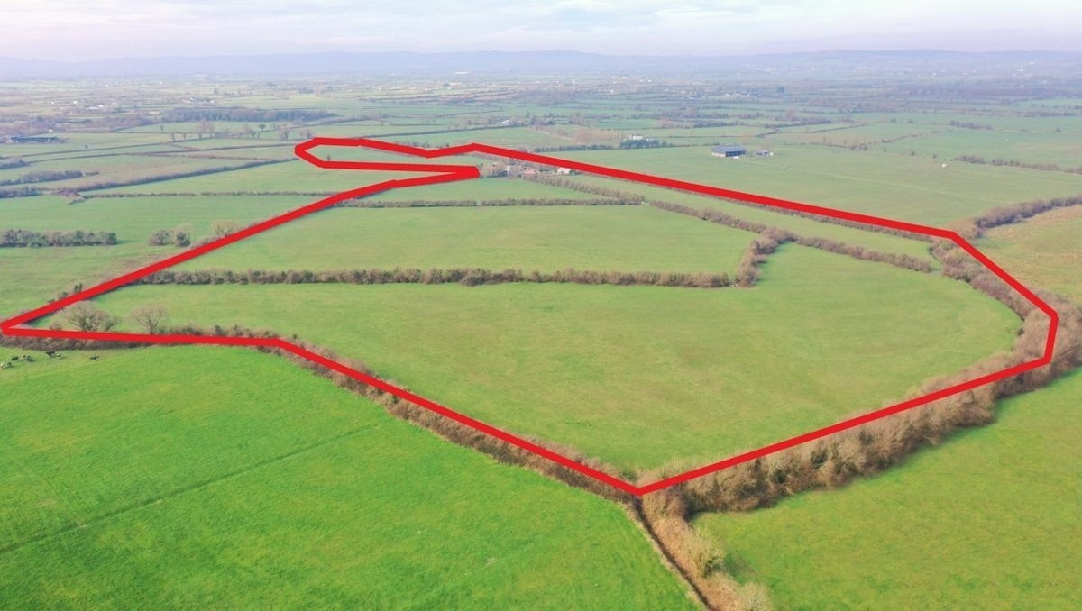 38ac Limerick farm 'as flat as a billiard table' already under offer