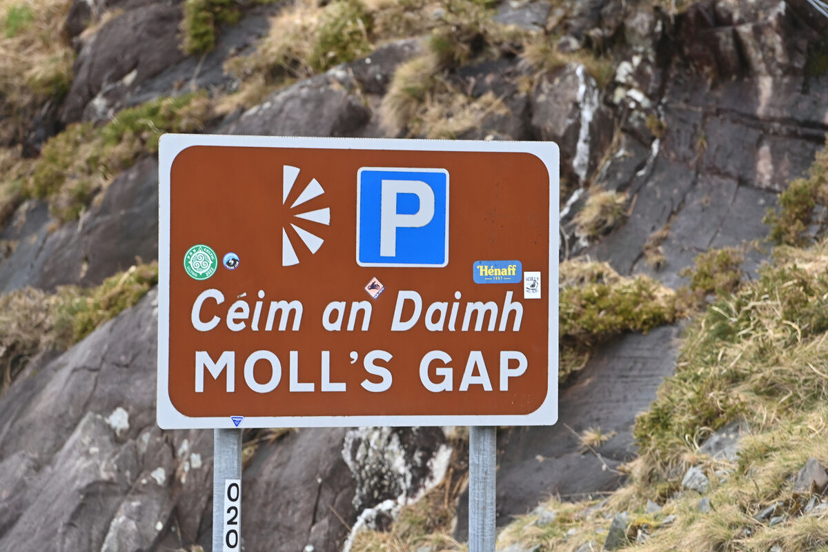 The search takes place for missing farmer Michael Gaine between Carrig East and Moll's Gap, Co Kerry. Picture: Dan Linehan The search takes place for missing farmer Michael Gaine between Carrig East and Moll's Gap, Co Kerry. Picture: Dan Linehan