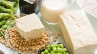 Soy Bean Food and Drink Products Photograph with Several Elements