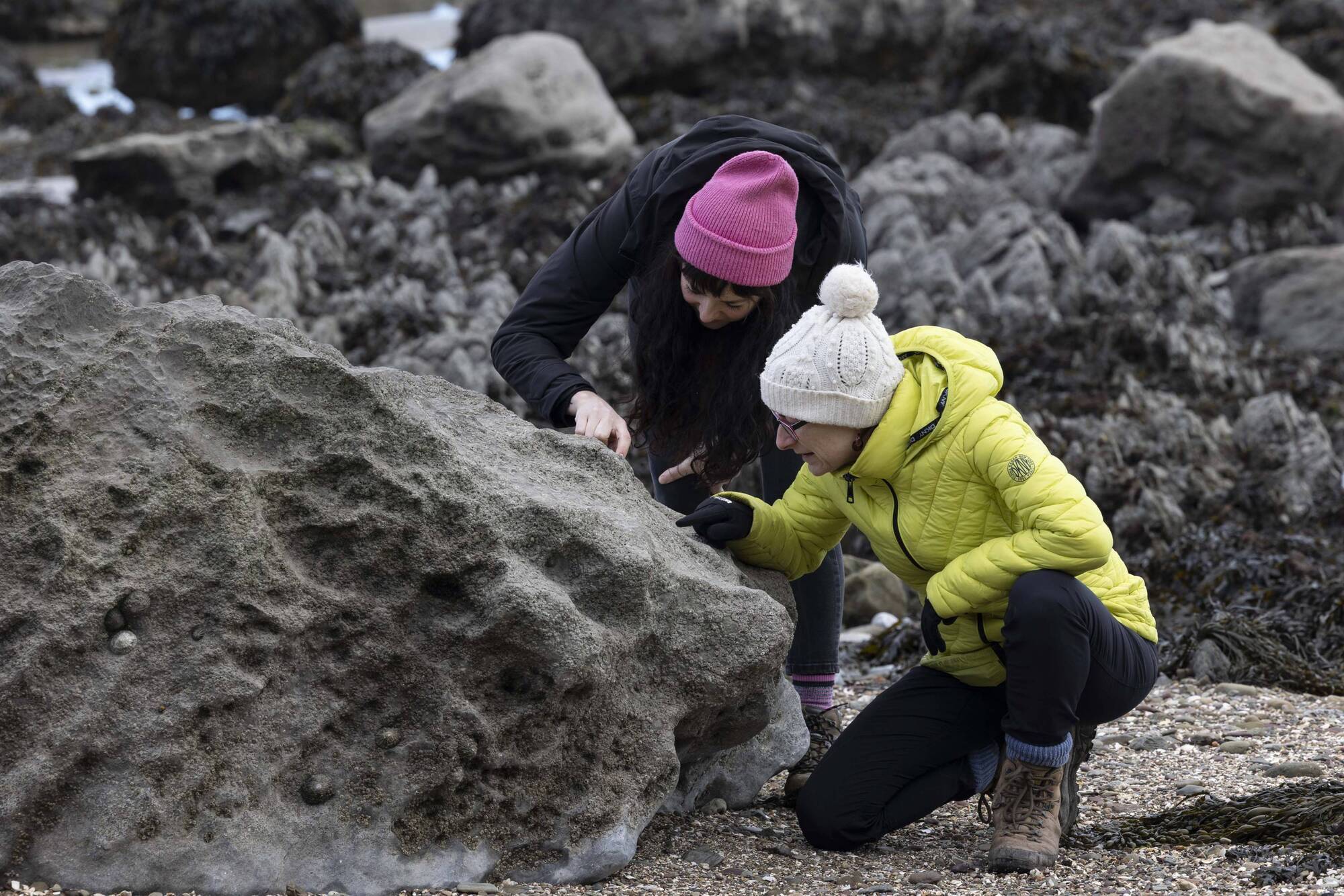 UCC launches ‘Great Irish Fossil Hunt’ to map Ireland’s fossil heritage