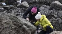 UCC launches ‘Great Irish Fossil Hunt’ to map Ireland’s fossil heritage