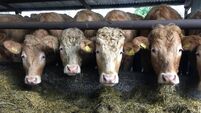 Brian Reidy: Grass silage production for next winter must be a priority