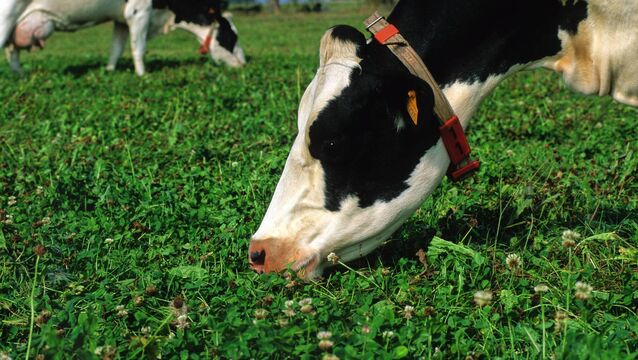 <p>There was also evidence PRG/white clover swards emitted less nitrous oxide emissions.</p>