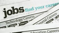 Job Search and Employment, Occupation Opportunity Classified Ad Newspaper Page