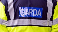 Man, 20s, arrested in connection with serious assault in Dublin