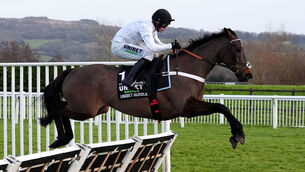 <p>POINT TO PROVE: Constitution Hill fell in last month's Champion Hurdle but is fancied to gain compensation at Aintree on Thursday. 	Picture:  Bradley Collyer/PA</p>