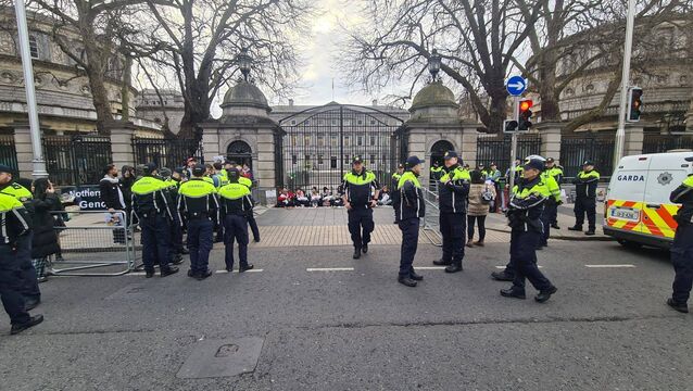 <p>Garda at the scene of the Mothers Against Genocide protest outside Leinster House.</p>