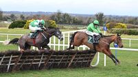 Los Blanco hard to oppose in opener at Naas