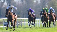 No teething problems as 'big baby' Eastwatch romps to impressive Gowran win  