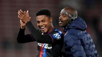 Southampton v Crystal Palace - Premier League - St Mary's Stadium